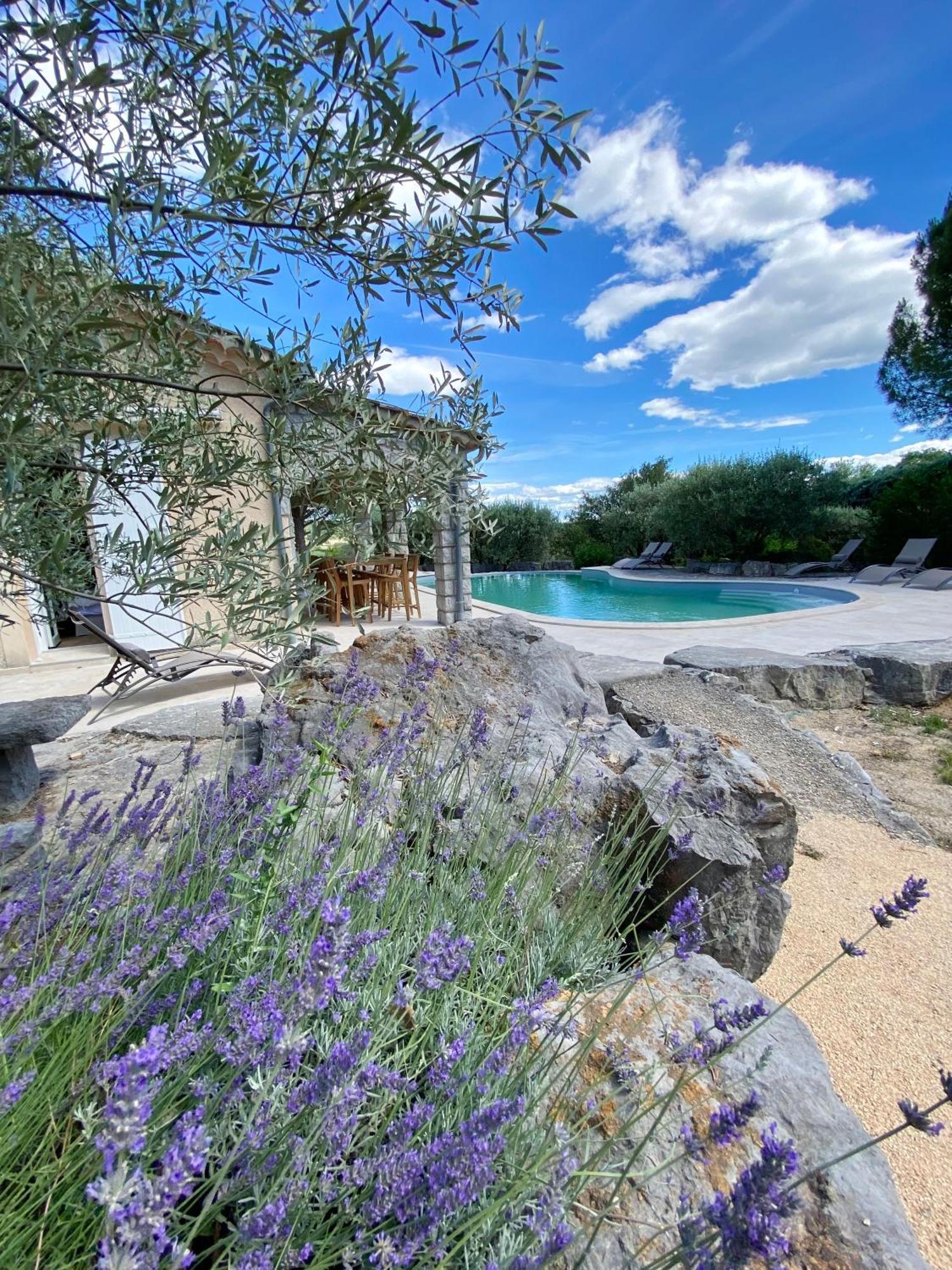 Maison Pour 12P, Piscine A Debordement Chauffee D'Avril A Octobre Inclus Ruoms Exterior foto